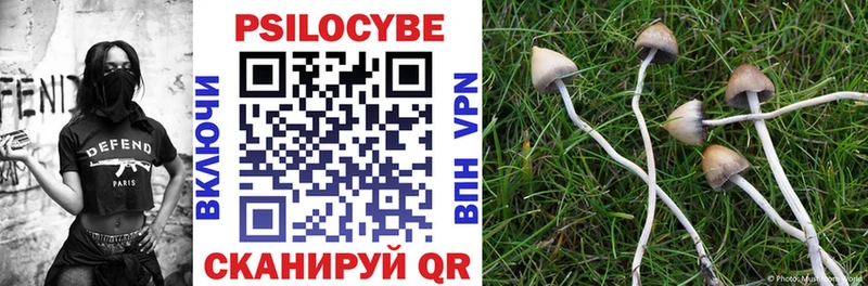 Псилоцибиновые грибы MAGIC MUSHROOMS  Иноземцево 